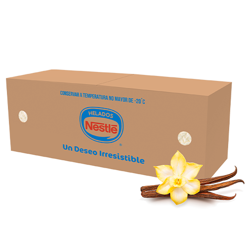 Vanilla Flavor Ice Cream